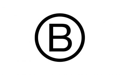 Becoming a B Corporation – more than a process